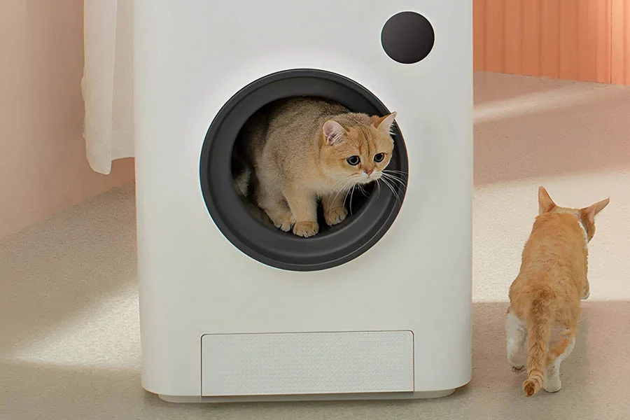 robotic kitty litter